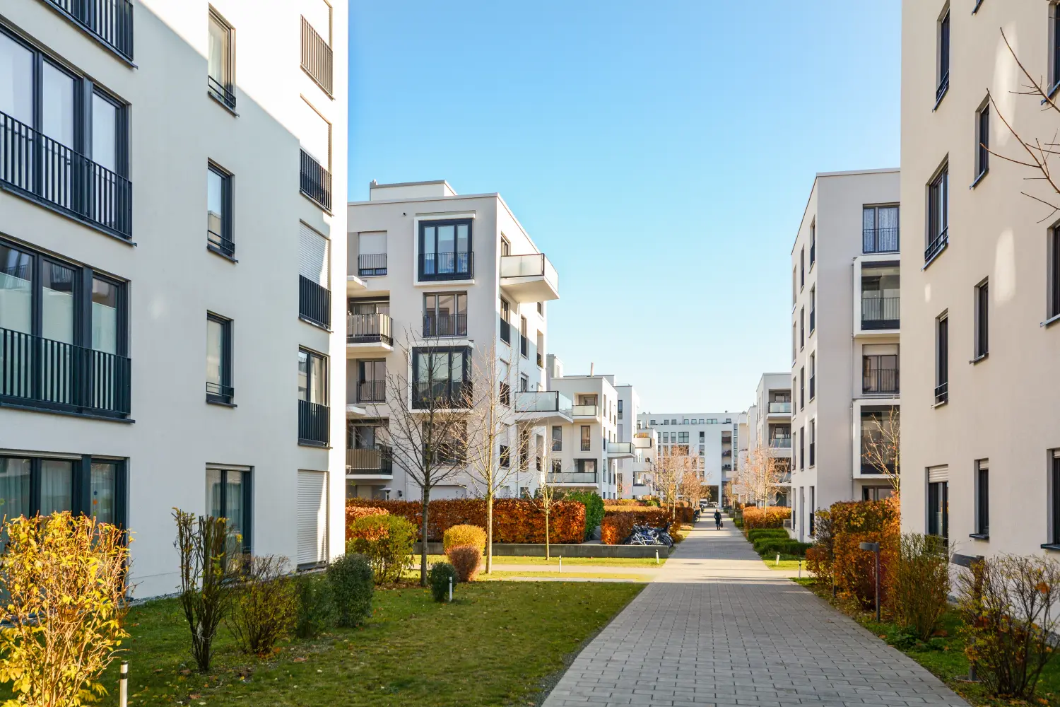 Ziduna Group  haus